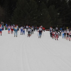 XXXV областные традиционные соревнования "Лыжня зовет-2017" в Краснотурьинске